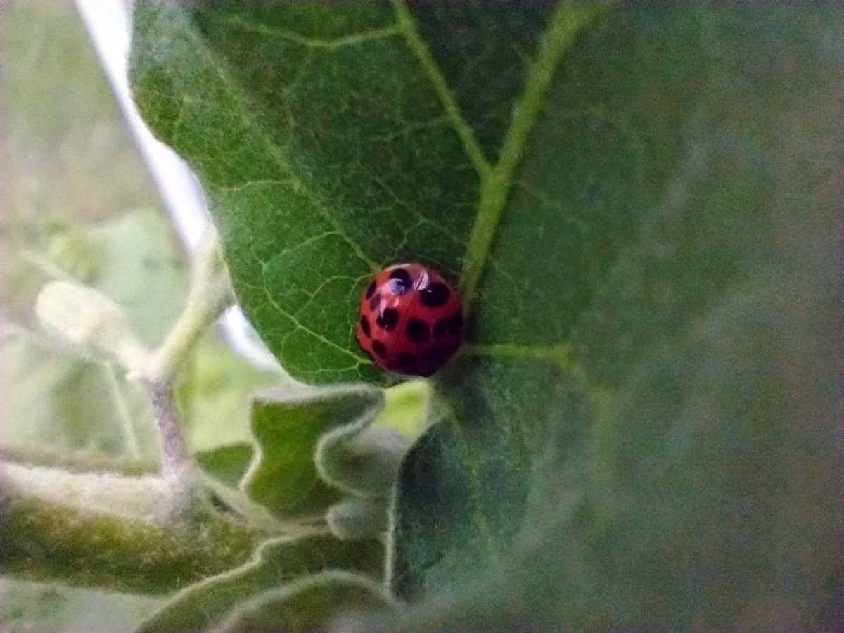 In the midst of chaos, there is a place of peaceful&nbsp;quietness.