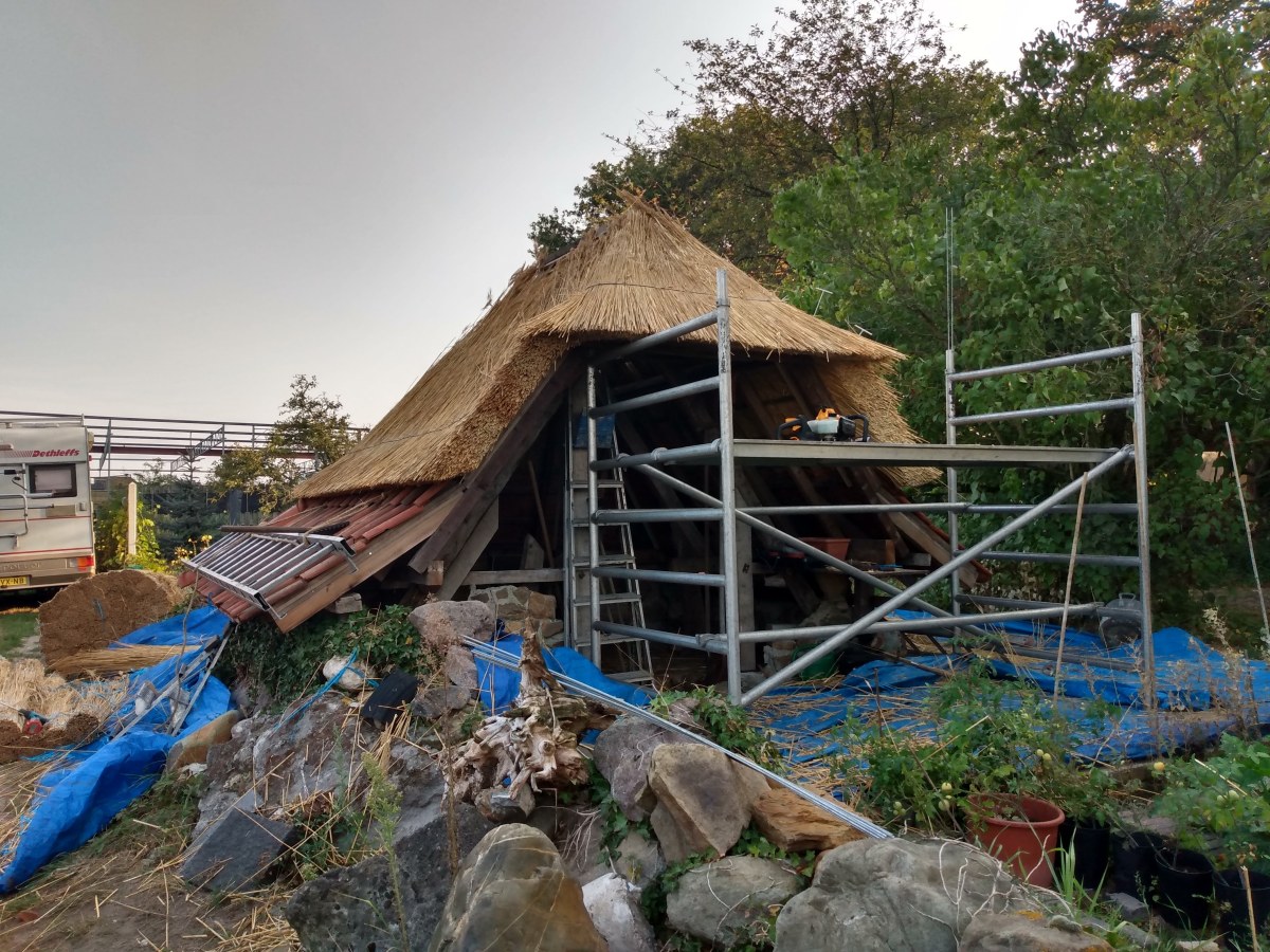 The Gardenshed, pt.&nbsp;4.