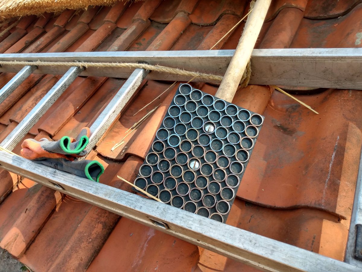 The Gardenshed, pt.&nbsp;5.