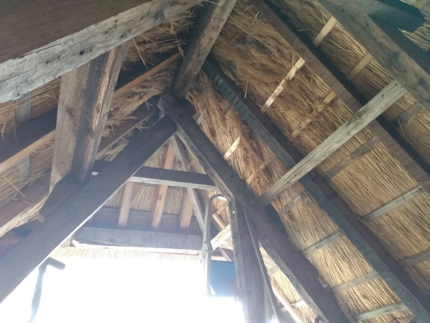 Life Force announces to fund restoration&nbsp;projects.